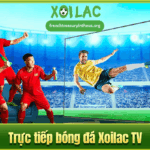 xoilaclink-1