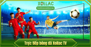 xoilaclink-1