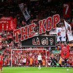 theo-kop-la-gi