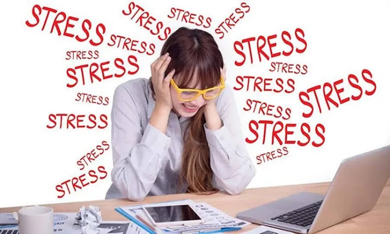 stress la gi